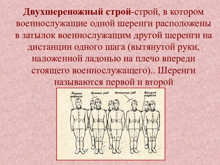 Двухшереножный строй-строй, в котором военнослужащие одной шеренги расположены в затылок