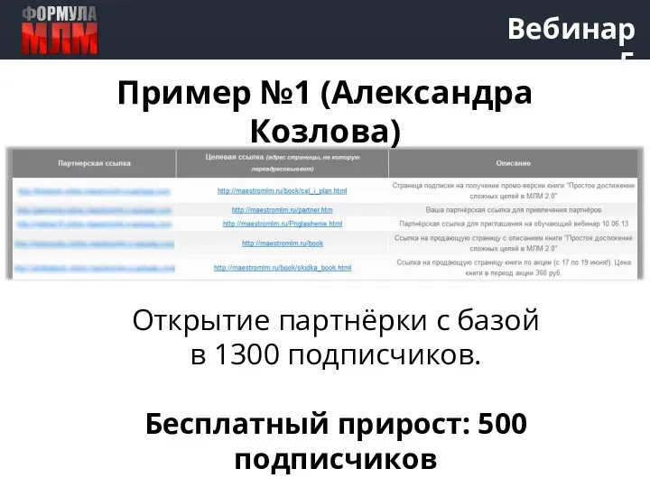 Вебинар 5 Пример №1 (Александра Козлова) Открытие партнёрки с базой