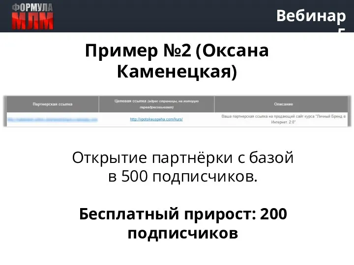 Вебинар 5 Пример №2 (Оксана Каменецкая) Открытие партнёрки с базой