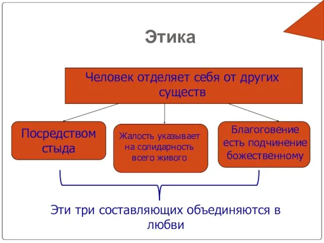 Этика Человек отделяет себя от других существ Посредством стыда Жалость