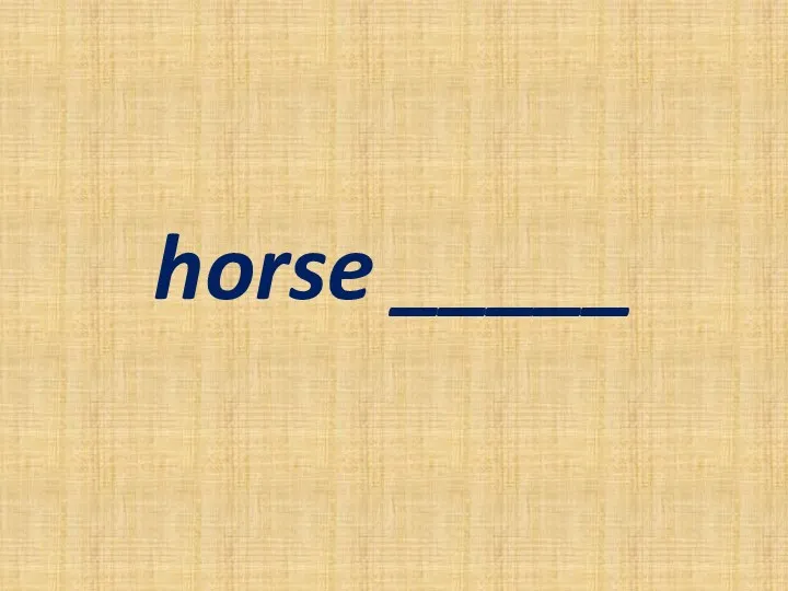 horse _____