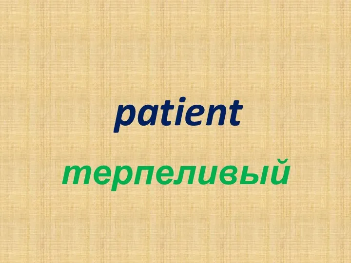 patient терпеливый