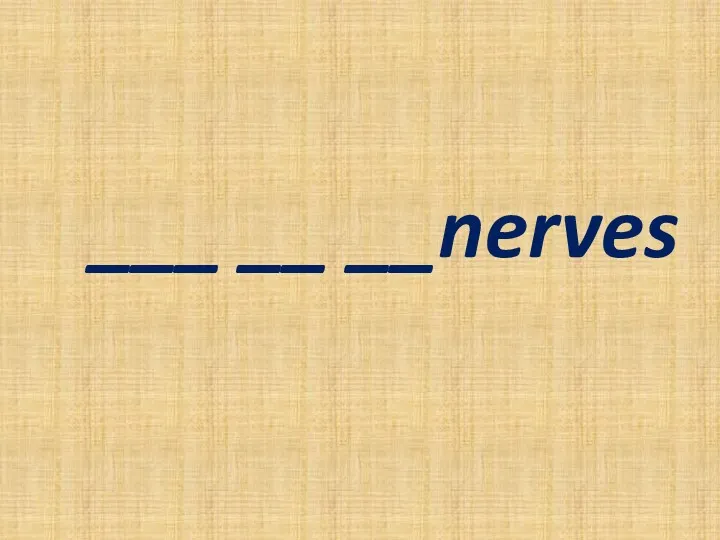 ___ __ __nerves
