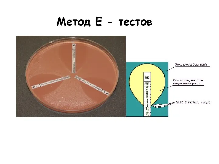 Метод Е - тестов МПК