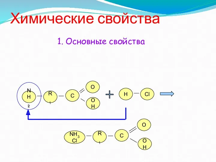 Химические свойства NH2 R1 О OH C 1. Основные свойства