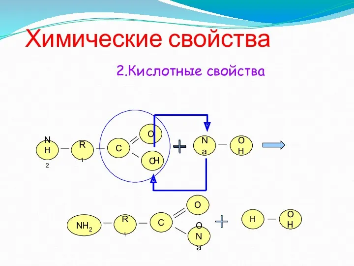 Химические свойства NH2 R1 О O C NH2 R1 О