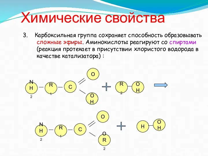 Химические свойства 3. Карбоксильная группа сохраняет способность образовывать сложные эфиры.