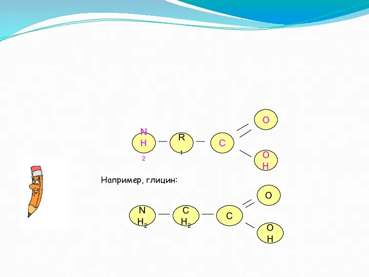 NH2 R1 C OH Например, глицин: NH2 OH C CH2 O O