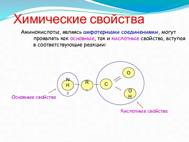 Химические свойства Аминокислоты, являясь амфотерными соединениями, могут проявлять как основные,