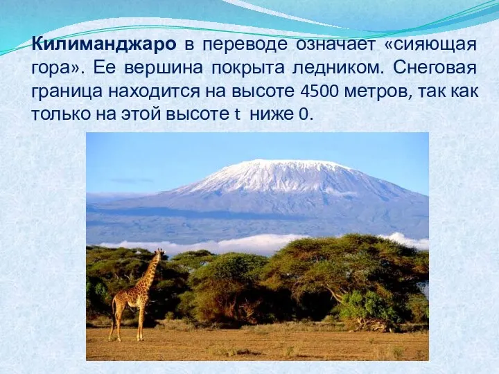 Килиманджаро в переводе означает «сияющая гора». Ее вершина покрыта ледником. Снеговая граница находится