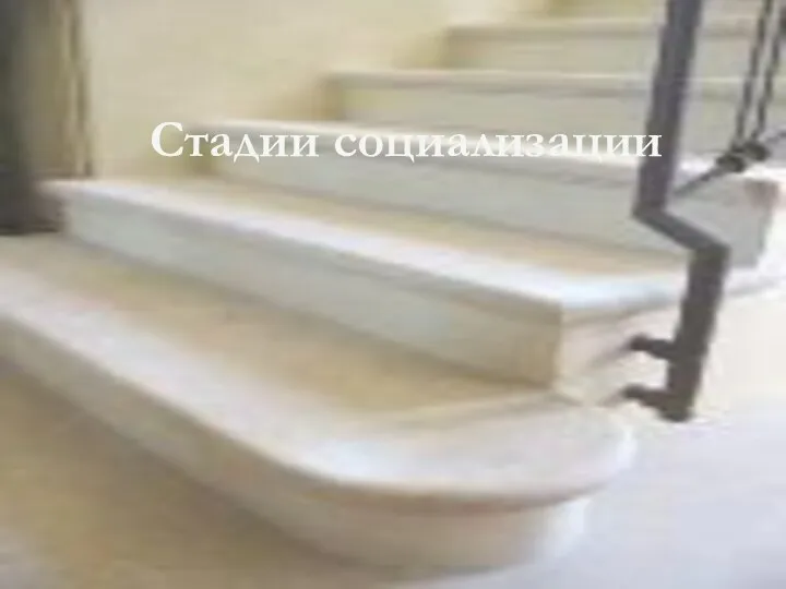 Стадии социализации