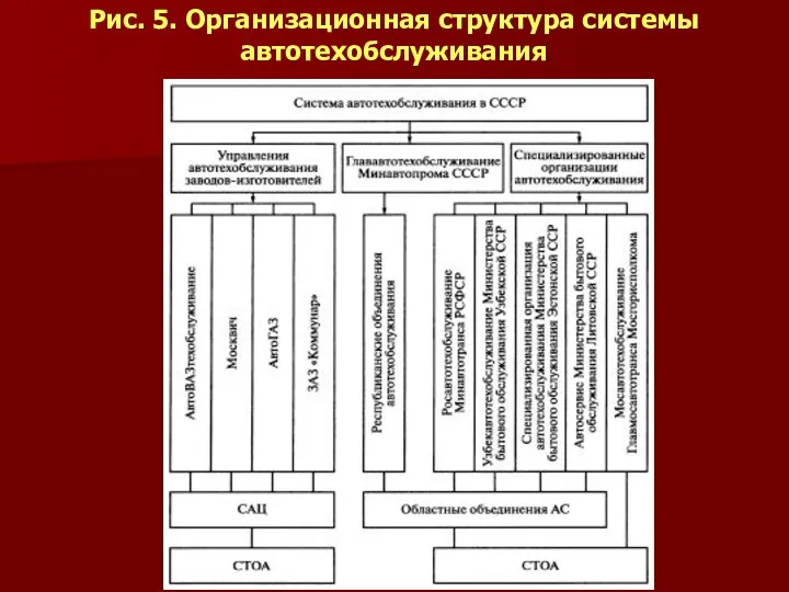 Рис. 5. Организационная структура системы автотехобслуживания