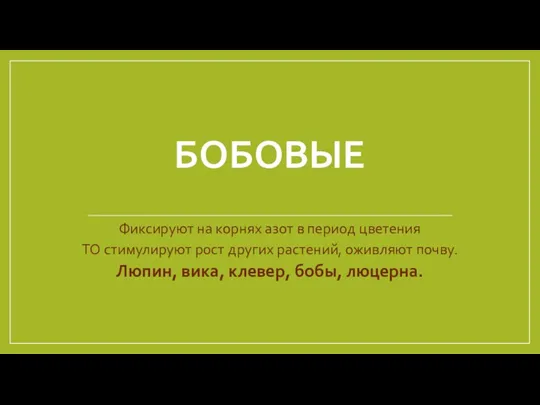 БОБОВЫЕ Фиксируют на корнях азот в период цветения ТО стимулируют