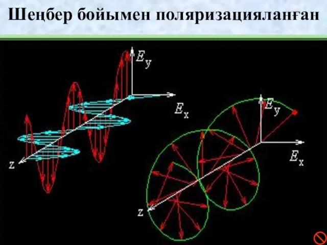 Шеңбер бойымен поляризацияланған