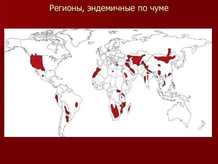 Регионы, эндемичные по чуме