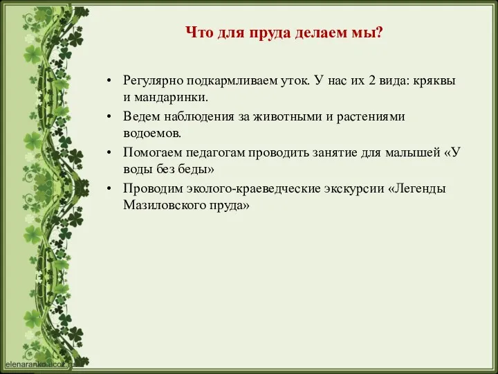 Что для пруда делаем мы? Регулярно подкармливаем уток. У нас