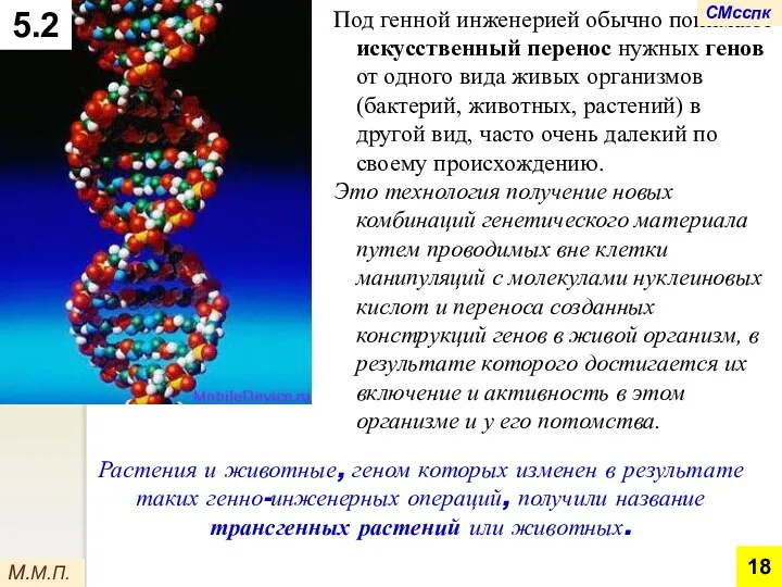 Под генной инженерией обычно понимают искусственный перенос нужных генов от