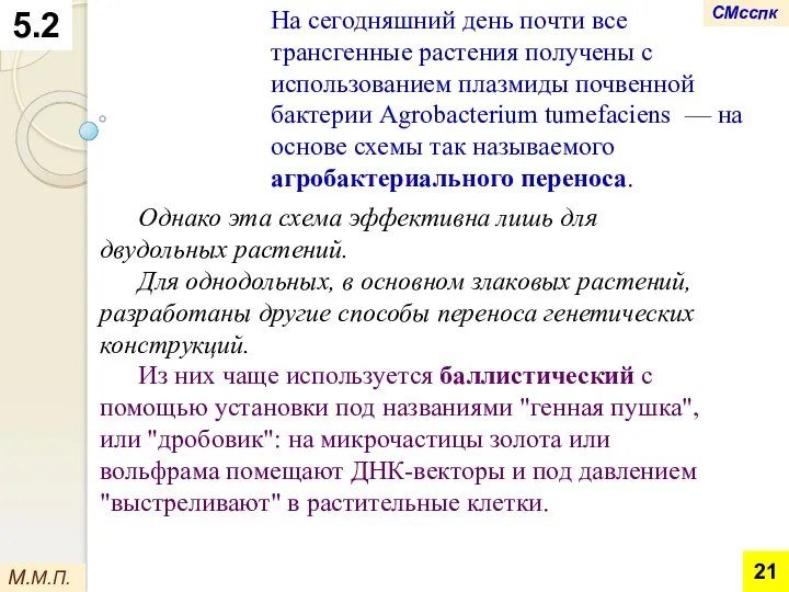 Однако эта схема эффективна лишь для двудольных растений. Для однодольных,