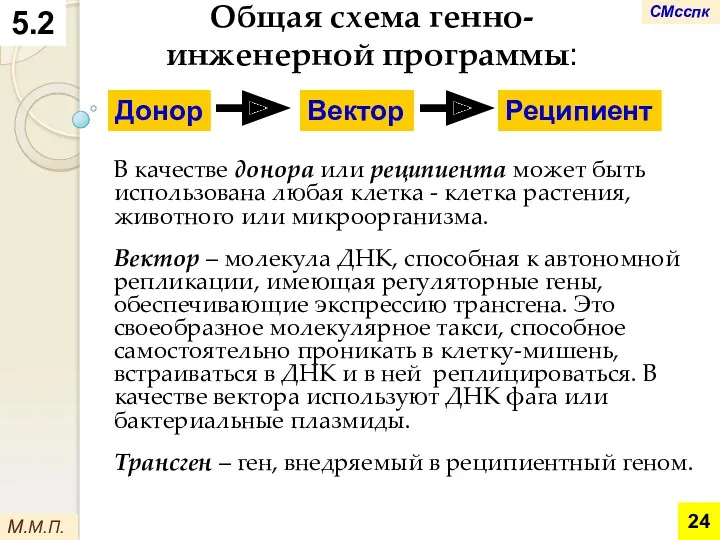 М.М.П. 5.2 Общая схема генно-инженерной программы: В качестве донора или