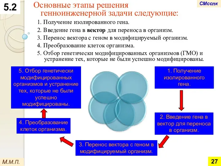 Основные этапы решения генноинженерной задачи следующие: 1. Получение изолированного гена.