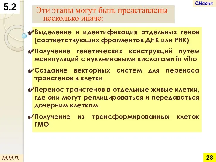 5.2 М.М.П. Выделение и идентификация отдельных генов (соответствующих фрагментов ДНК