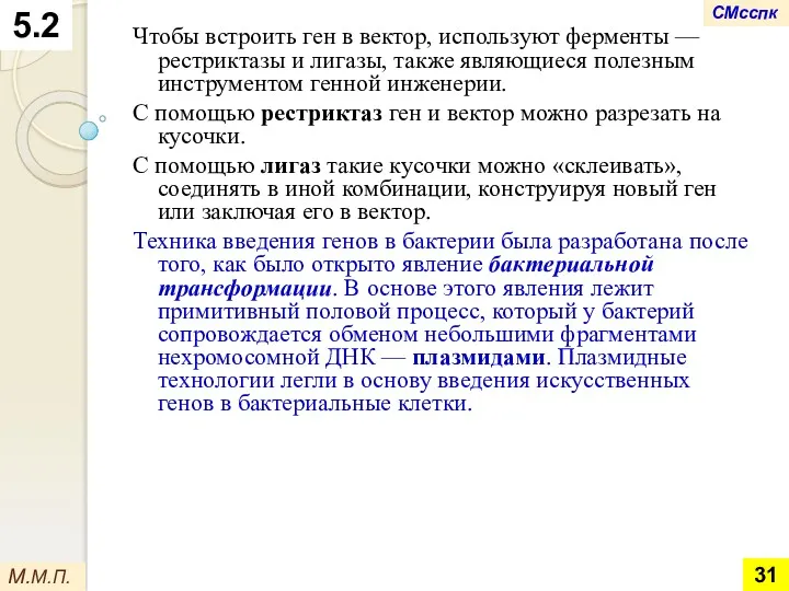 Чтобы встроить ген в вектор, используют ферменты — рестриктазы и