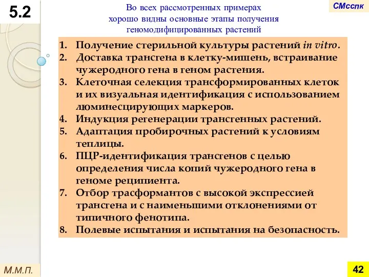 5.2 М.М.П. Во всех рассмотренных примерах хорошо видны основные этапы