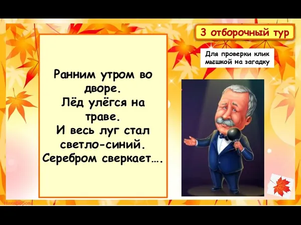 Ранним утром во дворе. Лёд улёгся на траве. И весь