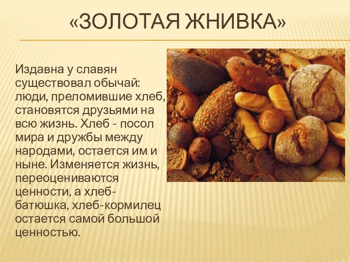 «ЗОЛОТАЯ ЖНИВКА» Издавна у славян существовал обычай: люди, преломившие хлеб, становятся друзьями на