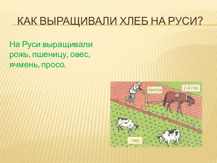 КАК ВЫРАЩИВАЛИ ХЛЕБ НА РУСИ? На Руси выращивали рожь, пшеницу, овес, ячмень, просо.