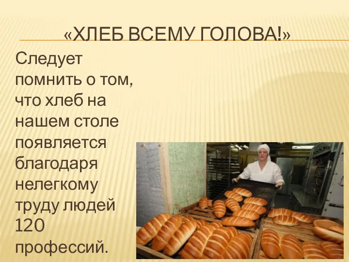 «ХЛЕБ ВСЕМУ ГОЛОВА!» Следует помнить о том, что хлеб на нашем столе появляется