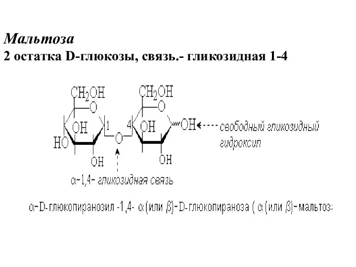 Мальтоза 2 остатка D-глюкозы, связь.- гликозидная 1-4