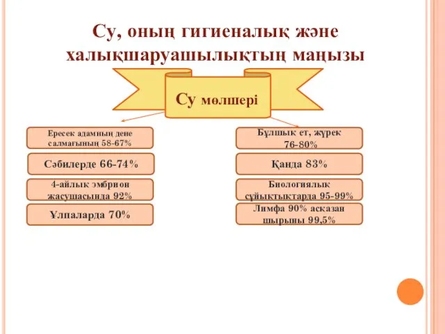 Су, оның гигиеналық және халықшаруашылықтың маңызы Су мөлшері Ересек адамның