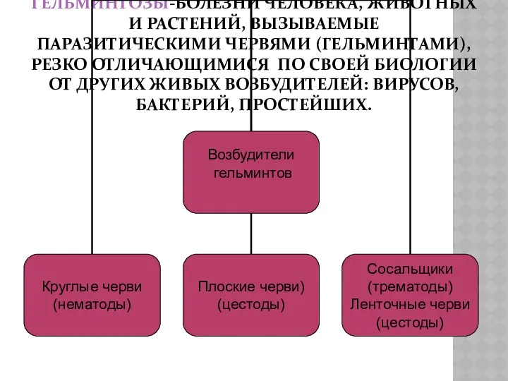 ГЕЛЬМИНТОЗЫ-БОЛЕЗНИ ЧЕЛОВЕКА, ЖИВОТНЫХ И РАСТЕНИЙ, ВЫЗЫВАЕМЫЕ ПАРАЗИТИЧЕСКИМИ ЧЕРВЯМИ (ГЕЛЬМИНТАМИ), РЕЗКО