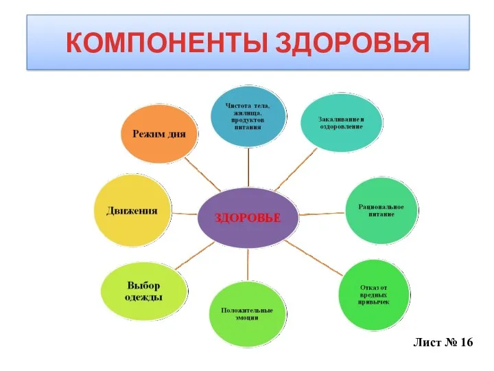 КОМПОНЕНТЫ ЗДОРОВЬЯ Лист № 16