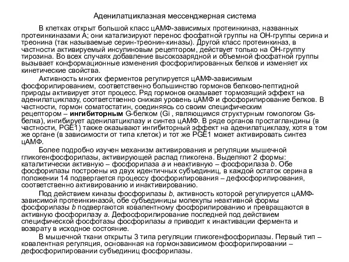 Аденилатциклазная мессенджерная система В клетках открыт большой класс цАМФ-зависимых протеинкиназ,