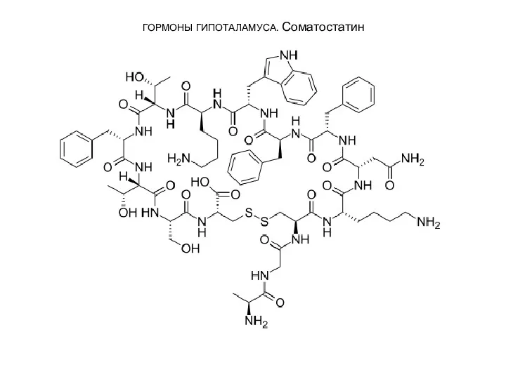 ГОРМОНЫ ГИПОТАЛАМУСА. Соматостатин