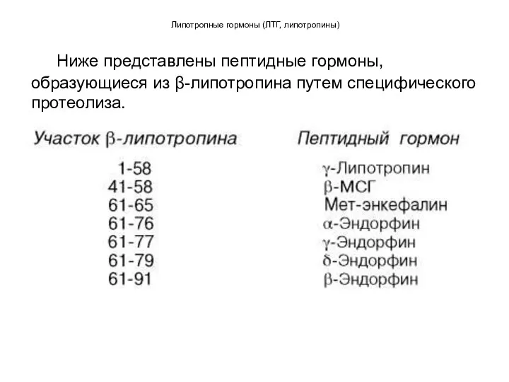 Липотропные гормоны (ЛТГ, липотропины) Ниже представлены пептидные гормоны, образующиеся из β-липотропина путем специфического протеолиза.