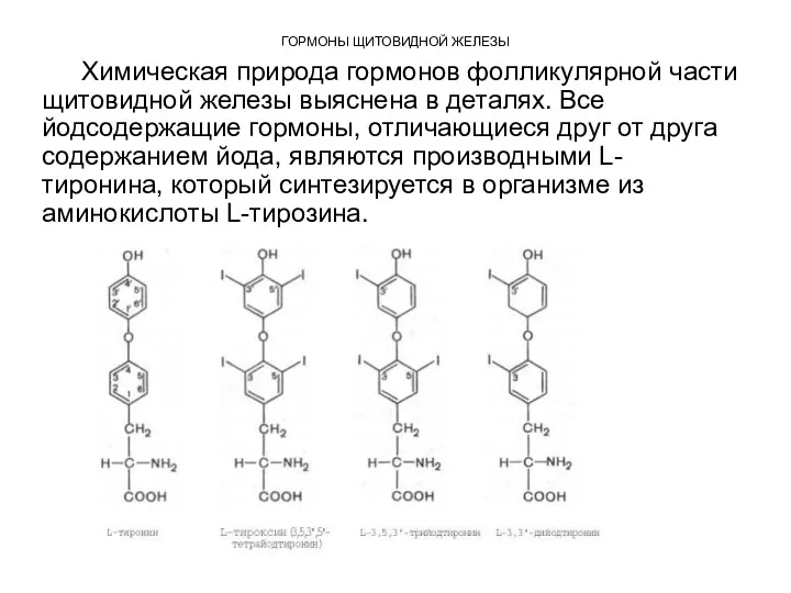 ГОРМОНЫ ЩИТОВИДНОЙ ЖЕЛЕЗЫ Химическая природа гормонов фолликулярной части щитовидной железы