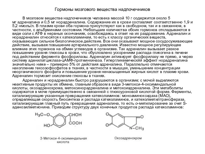 Гормоны мозгового вещества надпочечников В мозговом веществе надпочечников человека массой