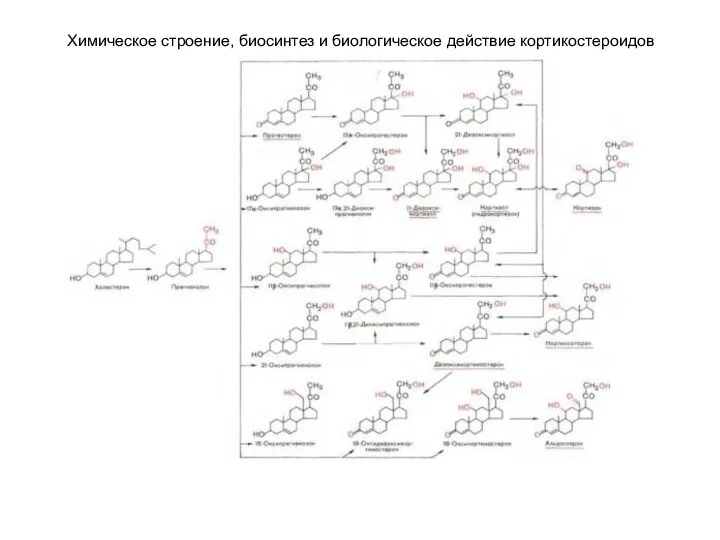 Химическое строение, биосинтез и биологическое действие кортикостероидов