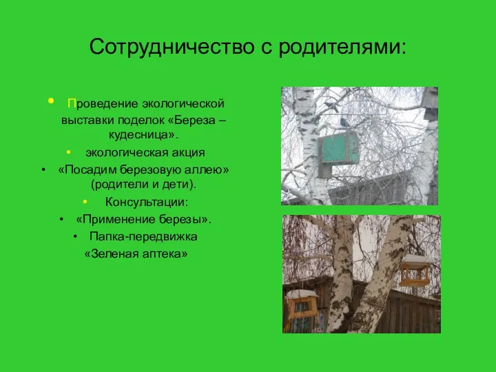 Сотрудничество с родителями: Проведение экологической выставки поделок «Береза – кудесница».