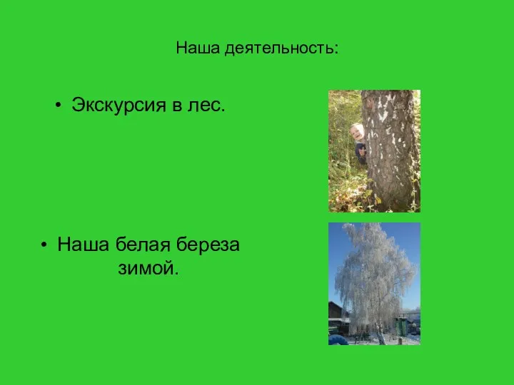 Наша деятельность: Экскурсия в лес. Наша белая береза зимой.