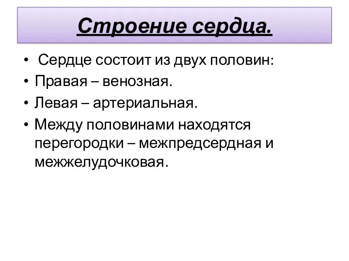 Строение сердца. Сердце состоит из двух половин: Правая – венозная.