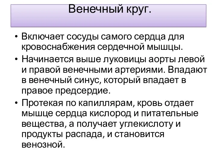 Венечный круг. Включает сосуды самого сердца для кровоснабжения сердечной мышцы.