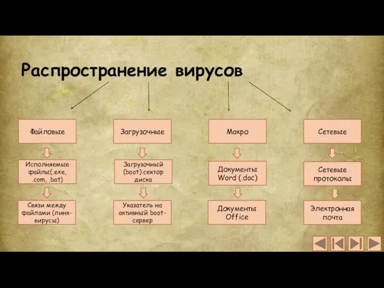 Распространение вирусов Файловые Сетевые Макро Загрузочные Исполняемые файлы(.exe, .com, .bat)