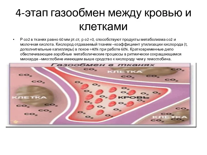 4-этап газообмен между кровью и клетками Р со2 в тканях