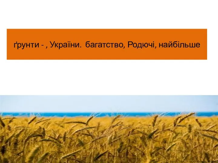 ґрунти - , України. багатство, Родючі, найбільше