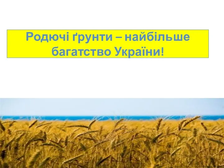 Родючі ґрунти – найбільше багатство України!