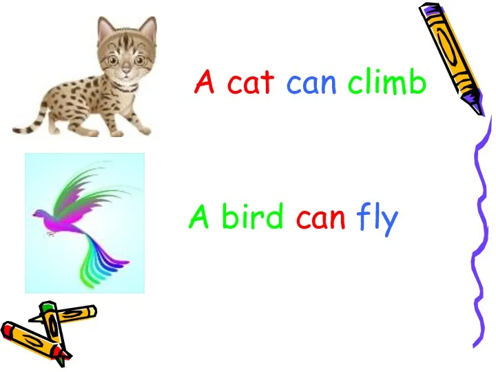 A cat can climb A bird can fly